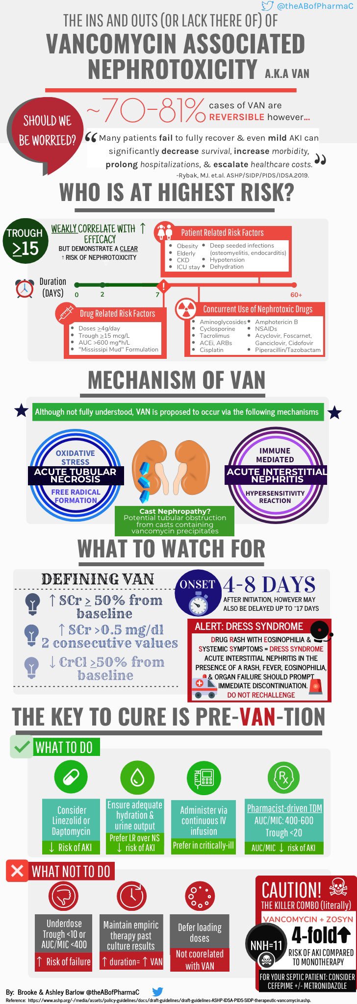 mechanism of vancomycin nephrotoxicity