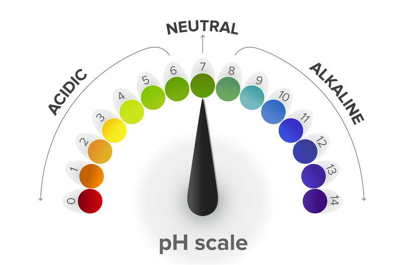 A case of high anion gap metabolic acidosis with high osmolal gap