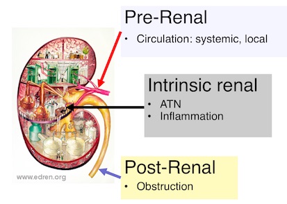 Network Meta-Analysis of Novel Glucose-Lowering Drugs on Risk of Acute Kidney Injury