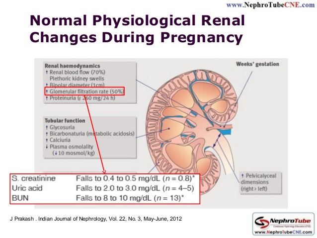 Kidney in  Pregnancy